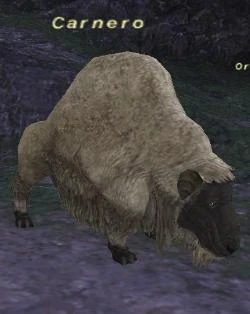 Carnero in Final Fantasy XI