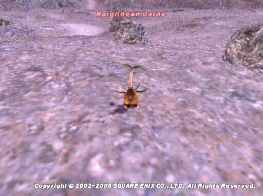 Maighdean Uaine in Final Fantasy XI