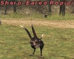 Sharp-Eared Ropipi in Final Fantasy XI